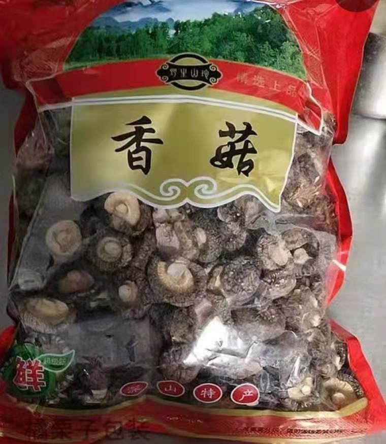 加载失败