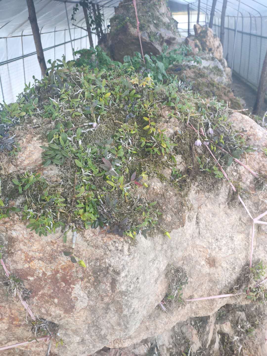 加载失败