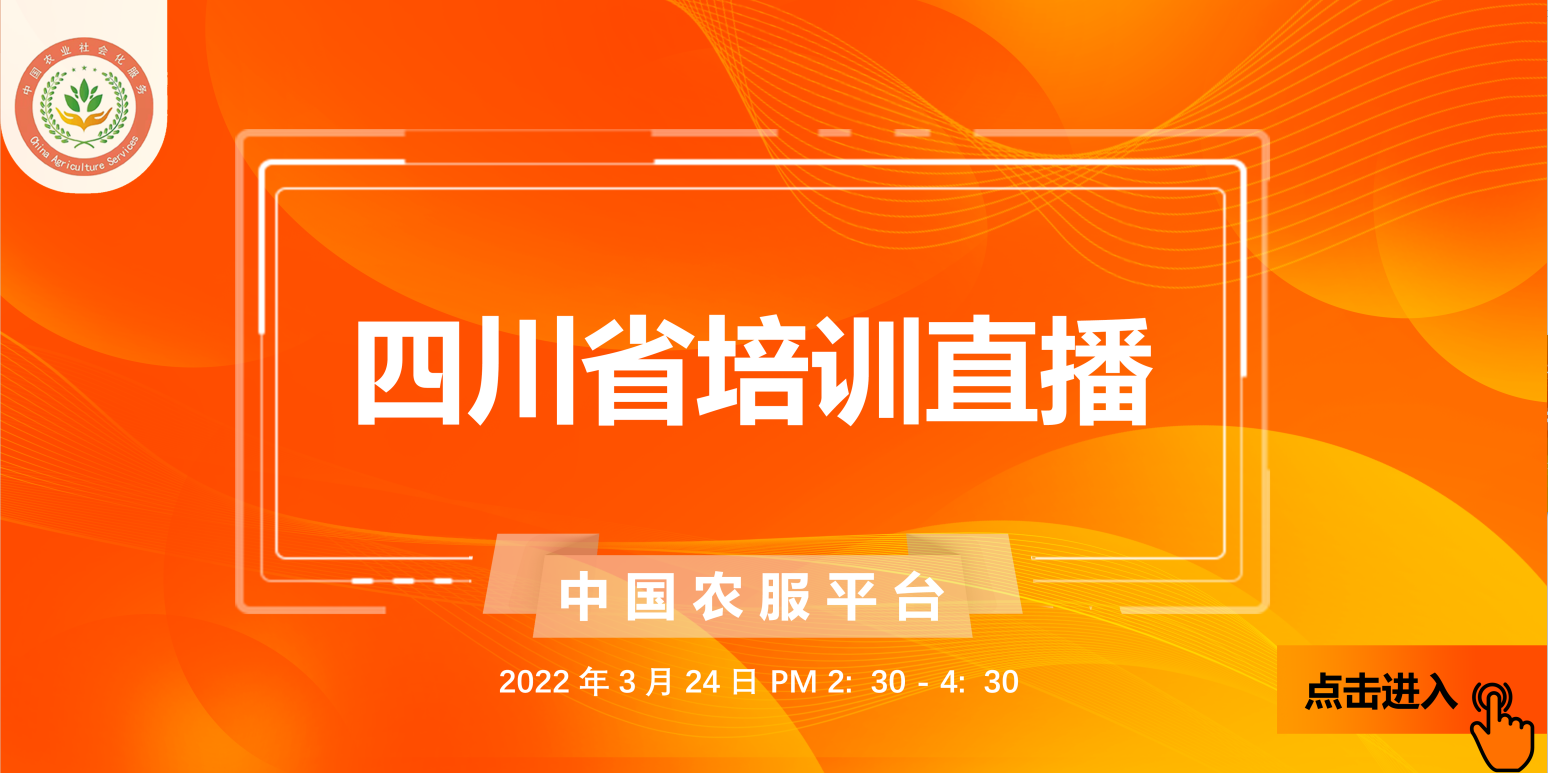 加载失败