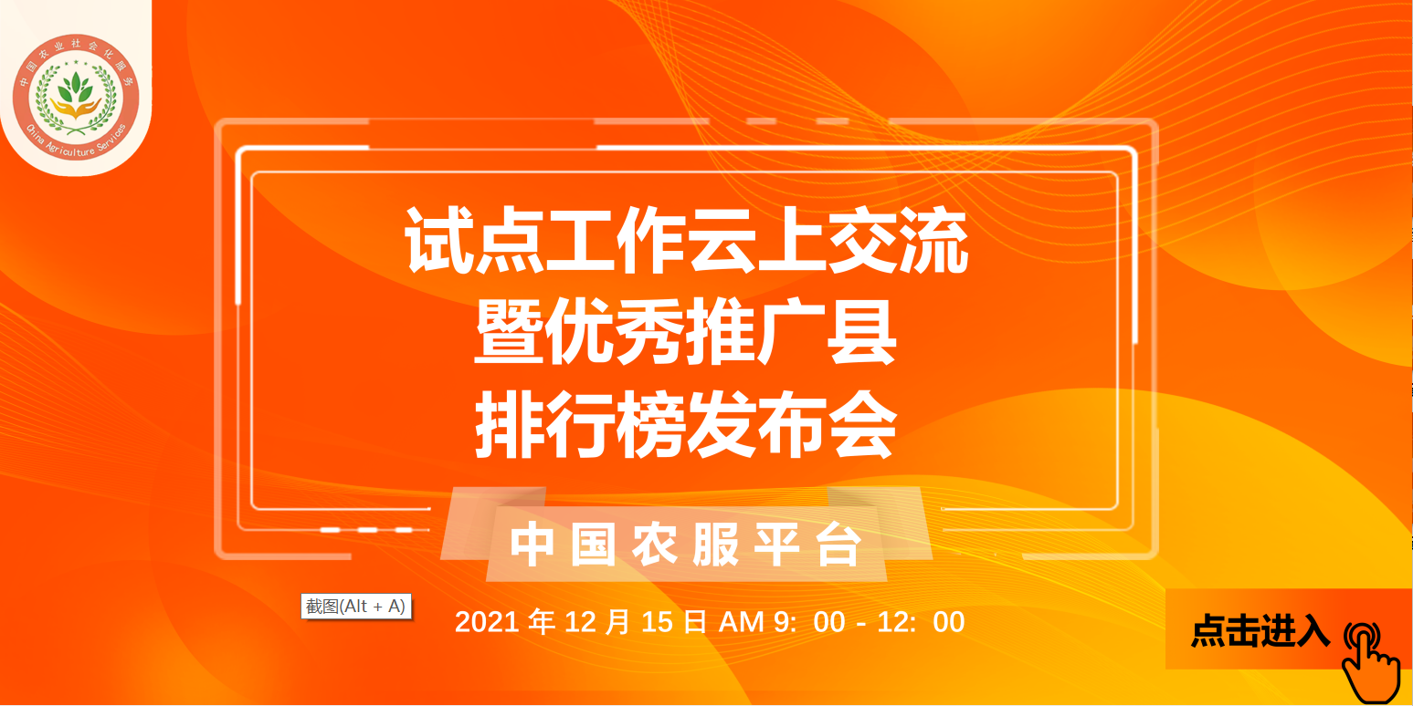 加载失败