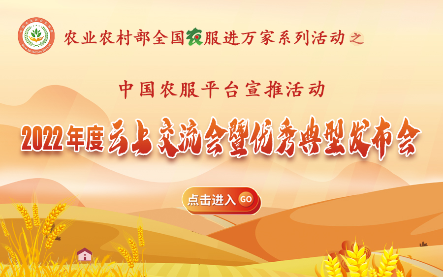 加载失败